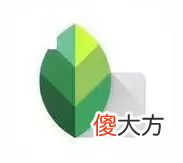 最强的手机拍照 拍照最强 手机