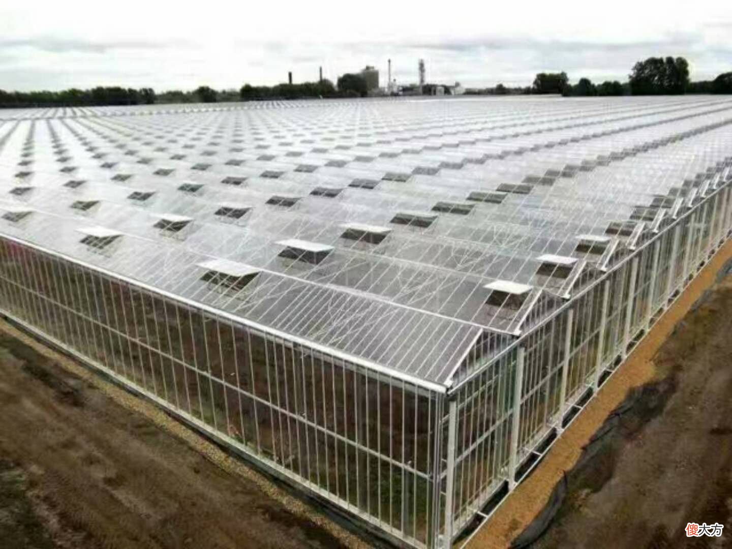 现代化玻璃温室一平方的建设成本是多少 玻璃温室造价多少钱一平方