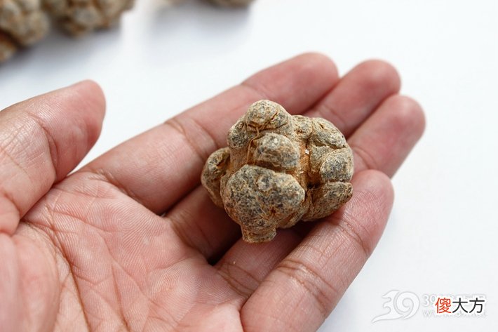 三七粉到底有多好 三七粉的好与不好