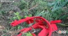 【爱历史】孙子结婚当天，奶奶写完遗书就跳楼，家人知道后：死得真不是时候