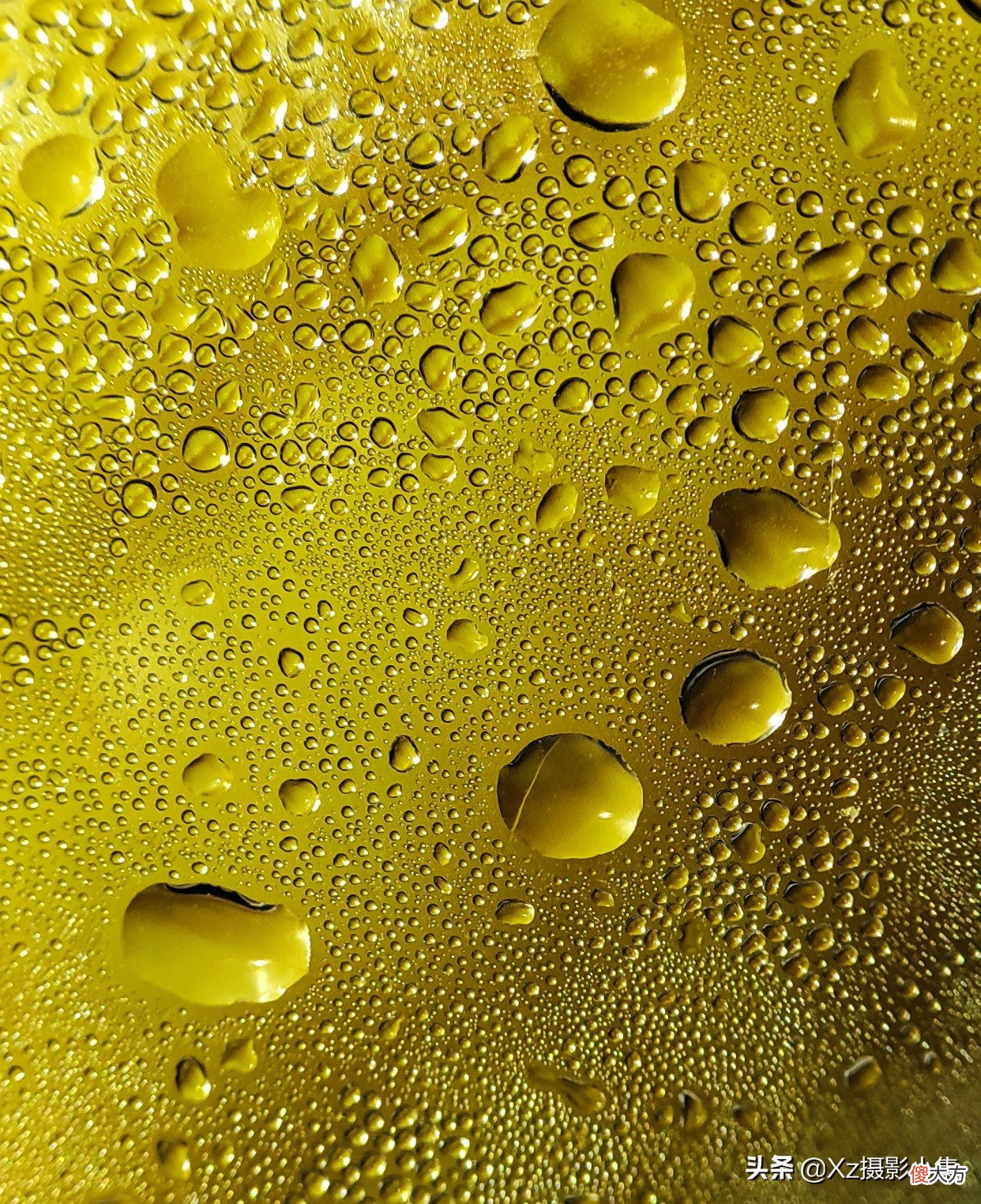 怎样利用好手机微距拍摄水珠 手机微距镜头拍水珠