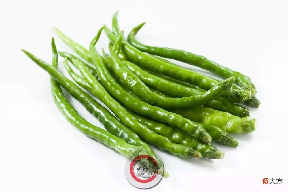 植物学家的锅 植物学家的锅略大于银河系