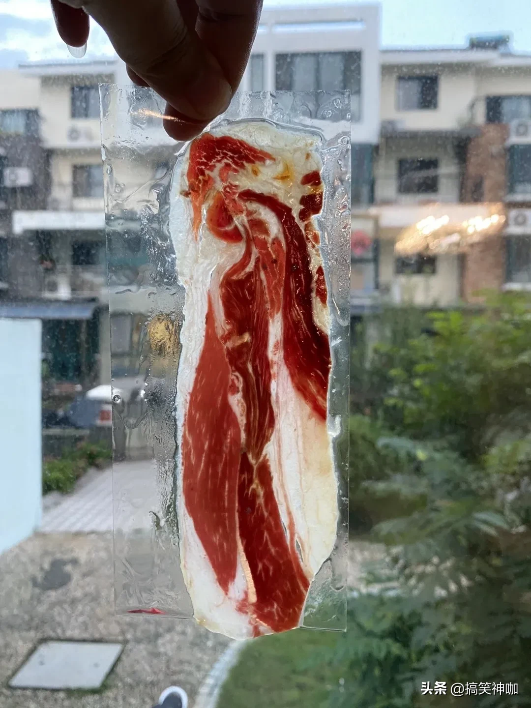 试过了最有名的四款火腿生吃西班牙伊比利亚、意大利帕尔玛、浙江金华火腿、云南宣威