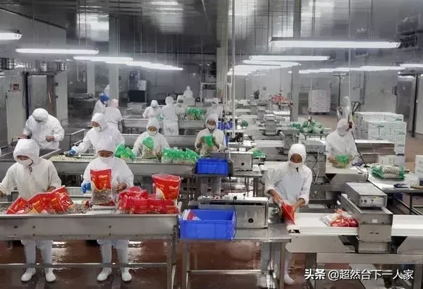 诸城名企录山东得利斯集团高端肉食品中的极品――帕珞斯发酵大火腿