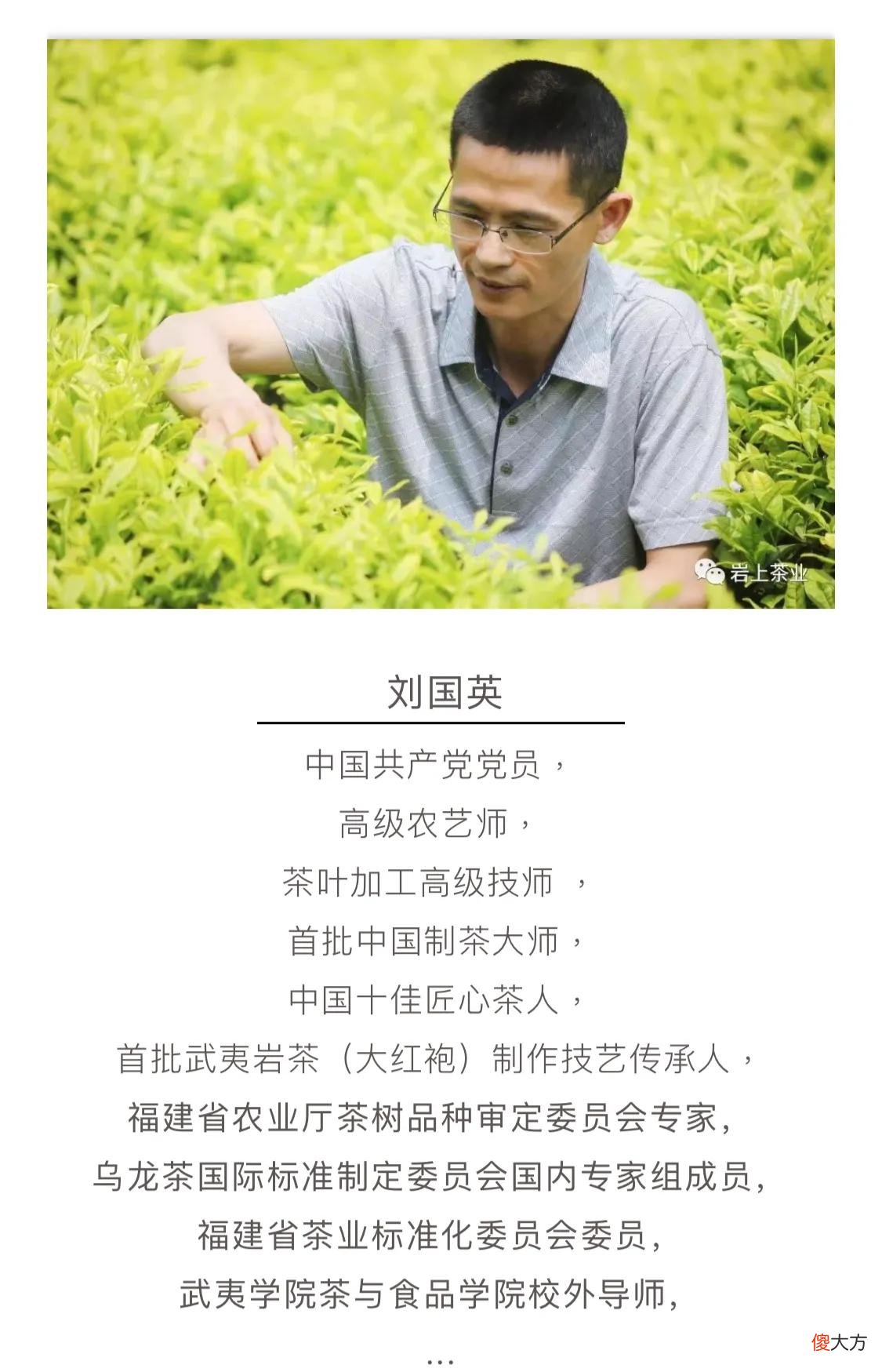 十款高赞武夷岩茶品牌 武夷岩茶十大品牌