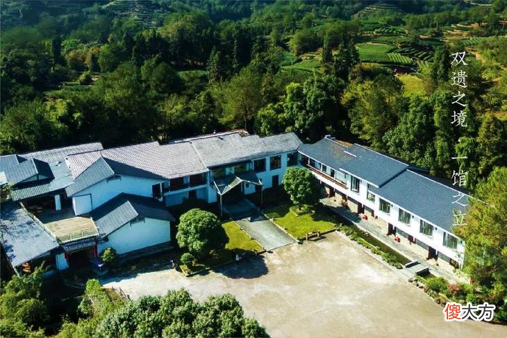 十款高赞武夷岩茶品牌 武夷岩茶十大品牌