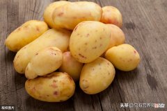 吃土豆到底是增肥还是减肥 吃土豆到底增肥还是减肥?专家来辟谣