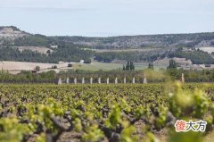 葡萄酒的品鉴步骤及注意事项 葡萄酒好坏的国际标准是什么