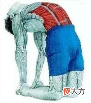 低头看手机对颈椎不好 低头看手机对颈椎的危害怎么解决