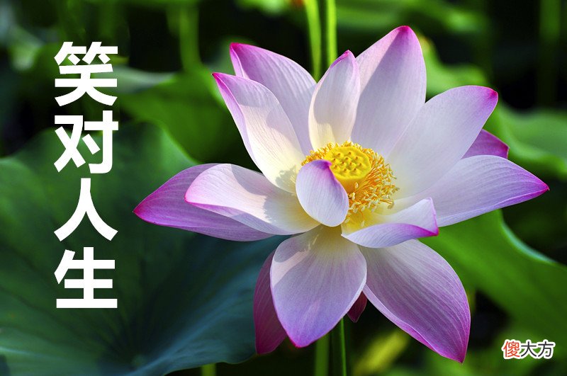 微信头像怎么选 微信头像怎么选择最好