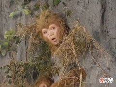 孙悟空为何飞不过如来的五行山 孙悟空为什么飞不出如来