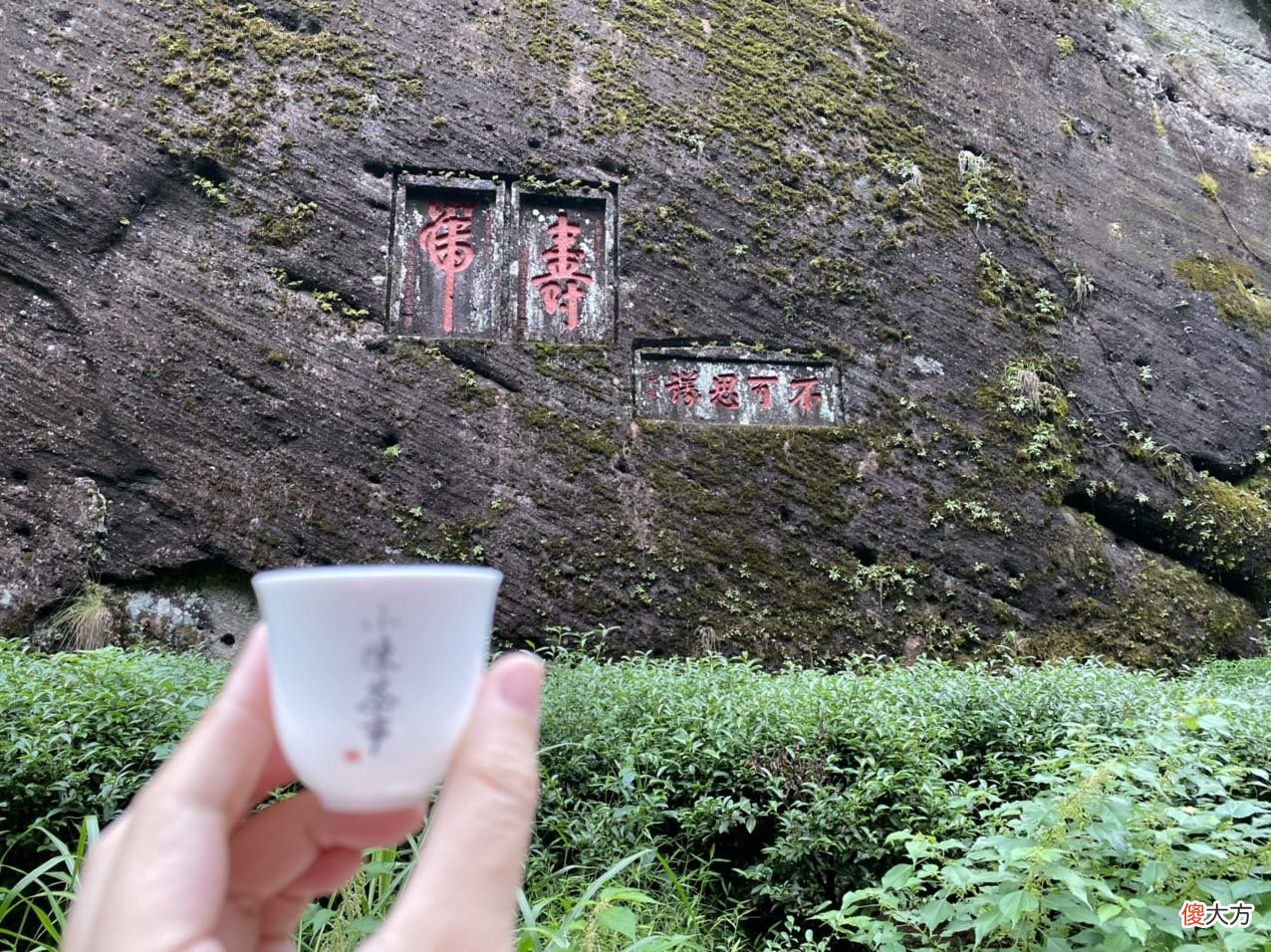 喝茶是喝香气好 喝茶用的香
