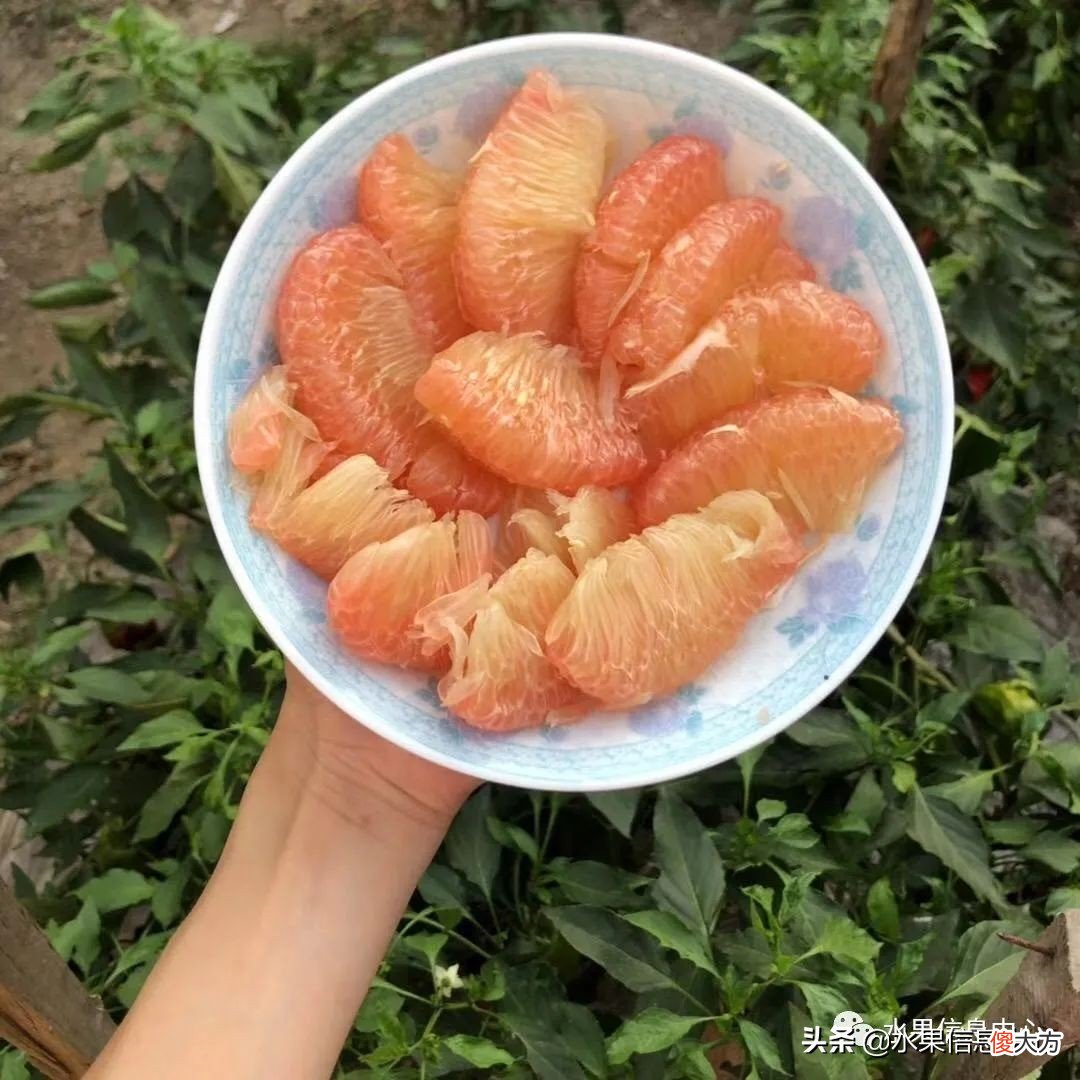 为什么说中秋节一定要吃柚子 中秋节吃柚子嘛
