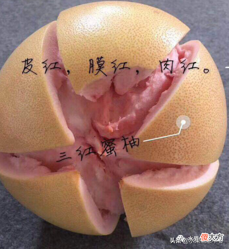 为什么说中秋节一定要吃柚子 中秋节吃柚子嘛