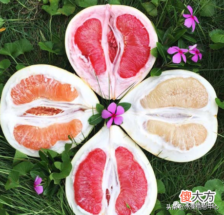 为什么说中秋节一定要吃柚子 中秋节吃柚子嘛