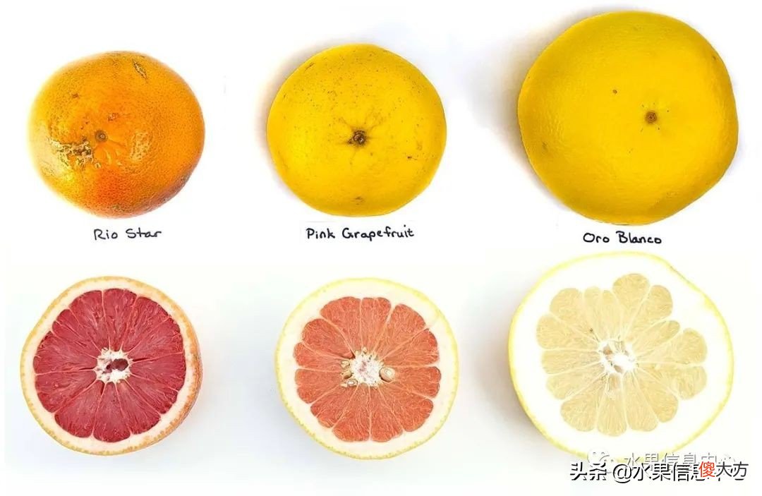 为什么说中秋节一定要吃柚子 中秋节吃柚子嘛