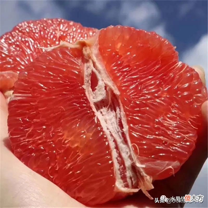 为什么说中秋节一定要吃柚子 中秋节吃柚子嘛