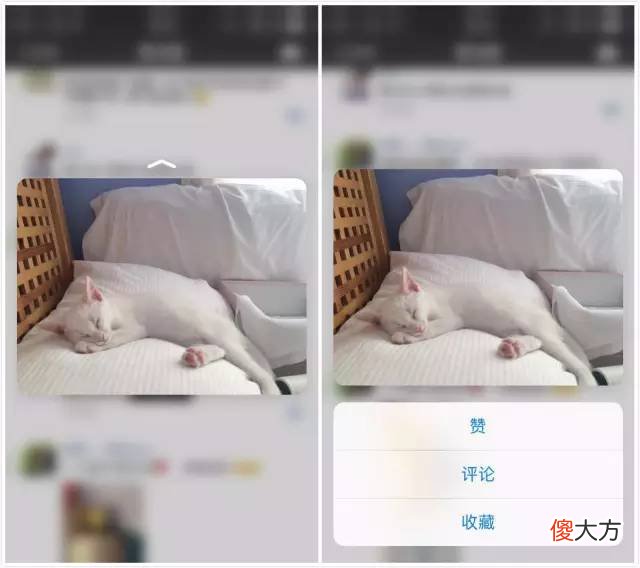微信只对苹果用户外放的功能 iphone微信外放