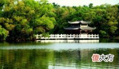 壬午日出生的人性格与命运解析