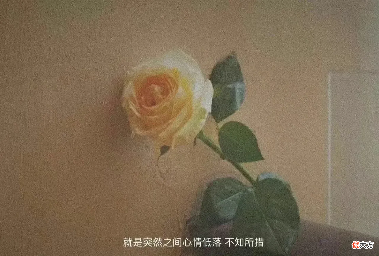 20个有手机在家就能做的副业推荐 手机可以做的副业有哪些