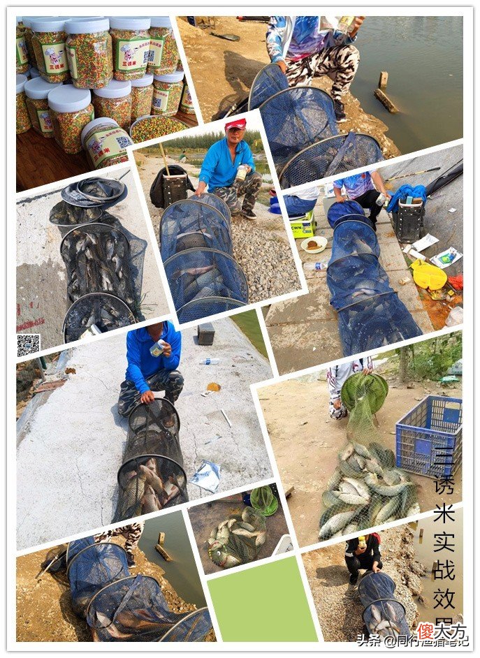 提到酒米，我想大部分钓友首先联想到的是那种用来打窝钓鲫鱼的湿酒米，那么钓鲤鱼、草