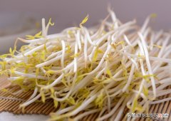 发豆芽的简单方法 自己动手发豆芽的简单方法