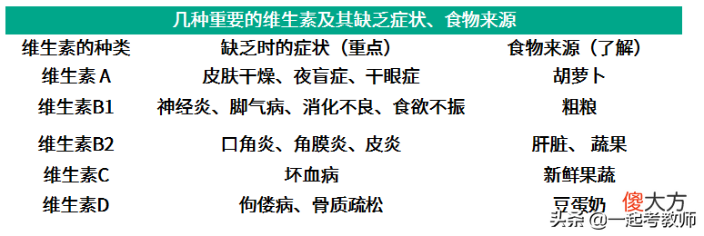 小学科目二小学儿童的安全与健康