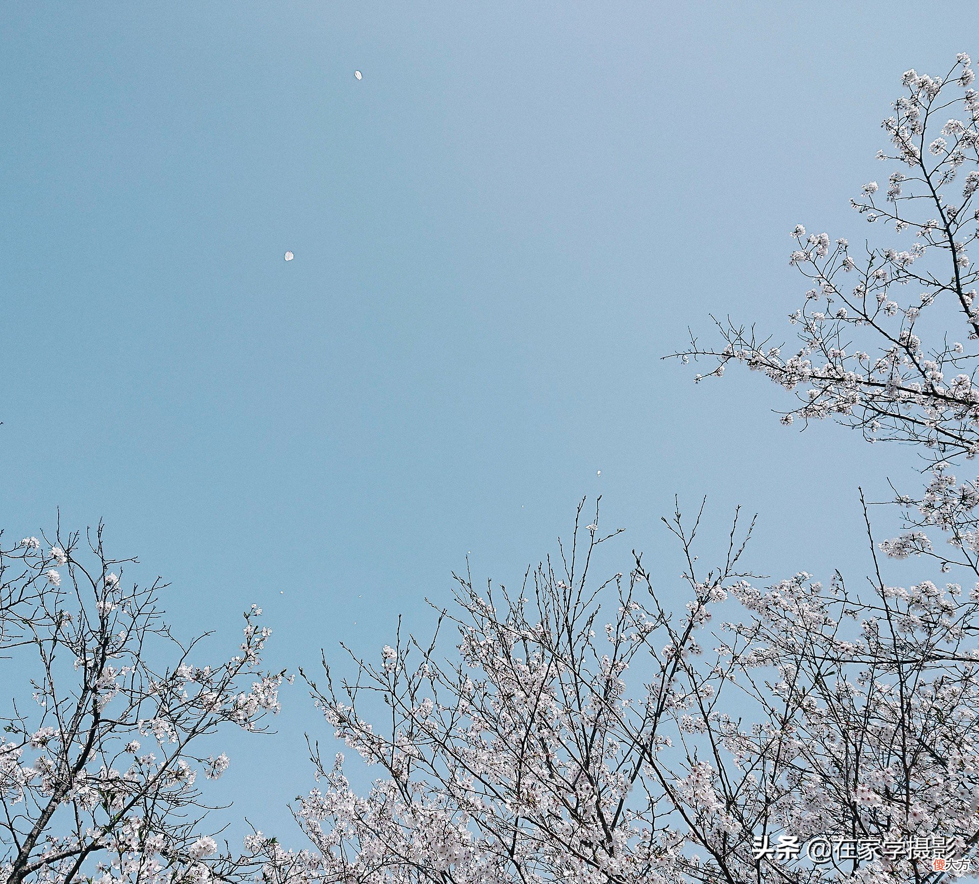 拍照的比例选哪个好 拍照选什么比例好