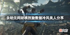 永劫无间胡桃捏脸数据冷风美人分享 冷风美人胡桃怎么捏_