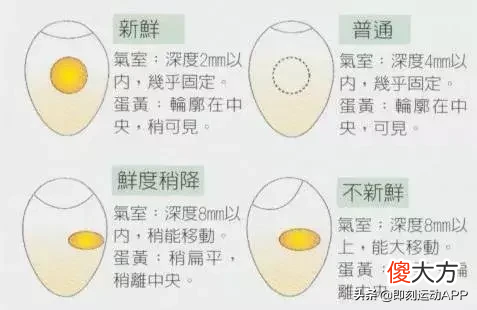 减肥健身党最爱的鸡蛋 减肥 鸡蛋
