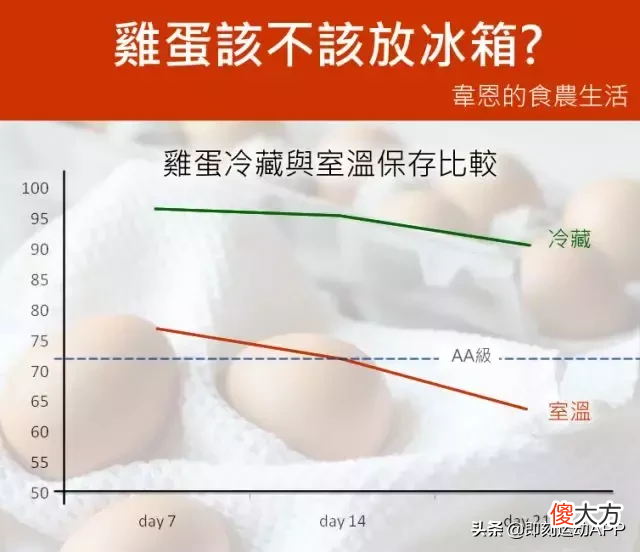 减肥健身党最爱的鸡蛋 减肥 鸡蛋
