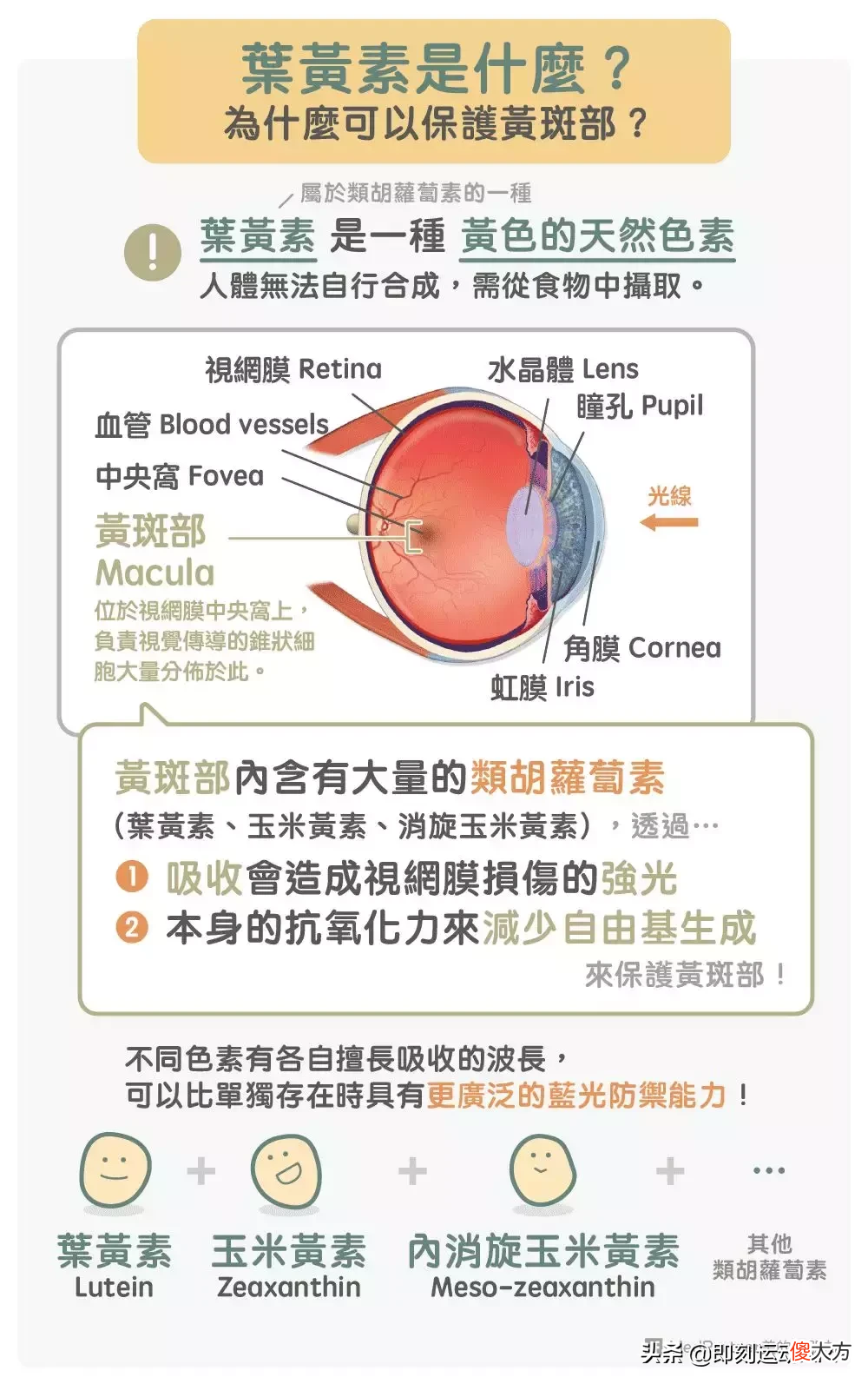减肥健身党最爱的鸡蛋 减肥 鸡蛋