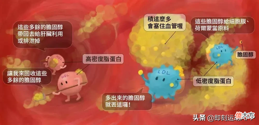 减肥健身党最爱的鸡蛋 减肥 鸡蛋