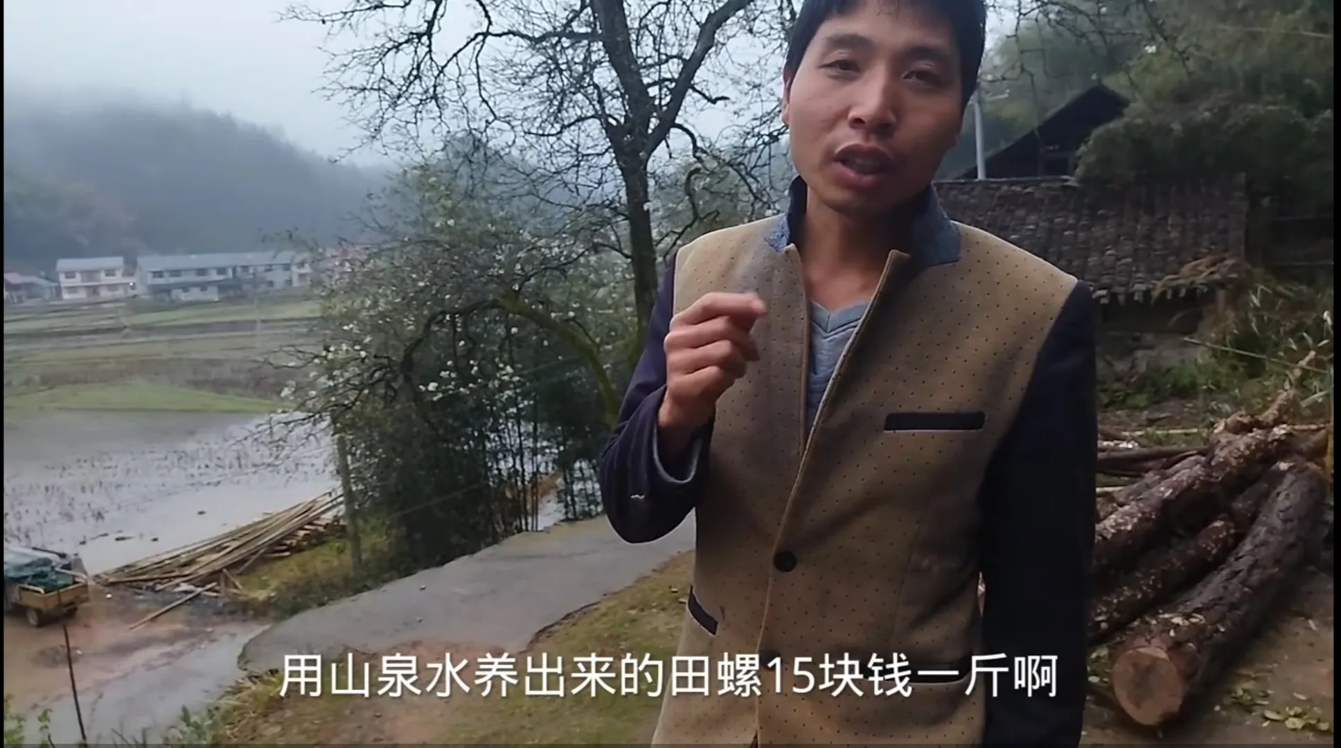 这位湖南小伙，养殖的田螺几十块钱一斤，商家还抢着跟他订货
