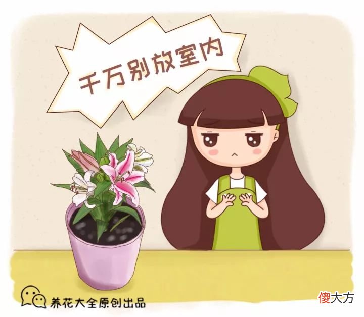 家里有这些花注意了 家里放很多花