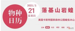 面积比四川省还大的蝗虫群 最大的蝗虫群