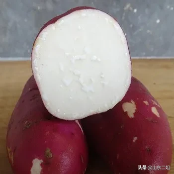 今天立冬了，进入冬天以后像这样的地瓜，毫无保留的说机智