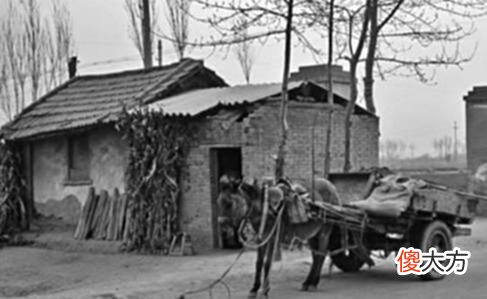 【历史故事】老照片：上世纪80年代的农村场景，艰苦的岁月，别样的精彩