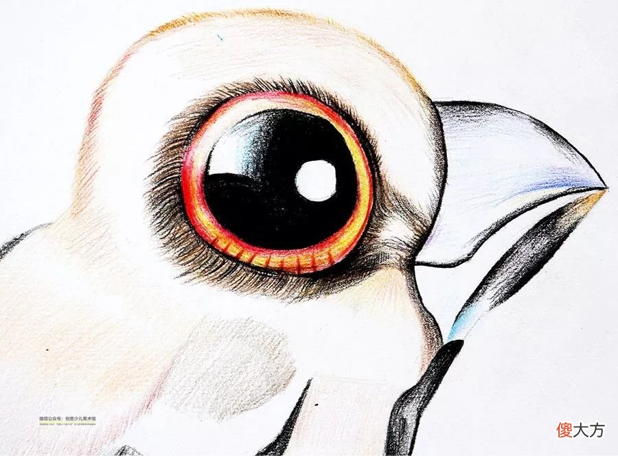 彩铅与线描画可爱的小鸟 用彩铅画小鸟
