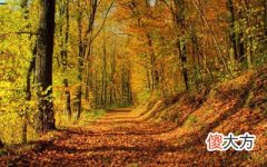 甲戌日出生的人性格与命运解析