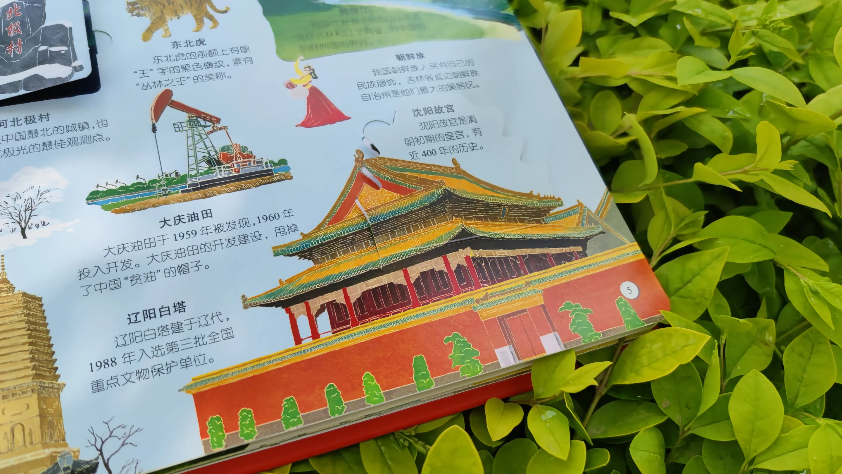 8岁的优优没怎么上过幼儿园，经常被我带着去旅游