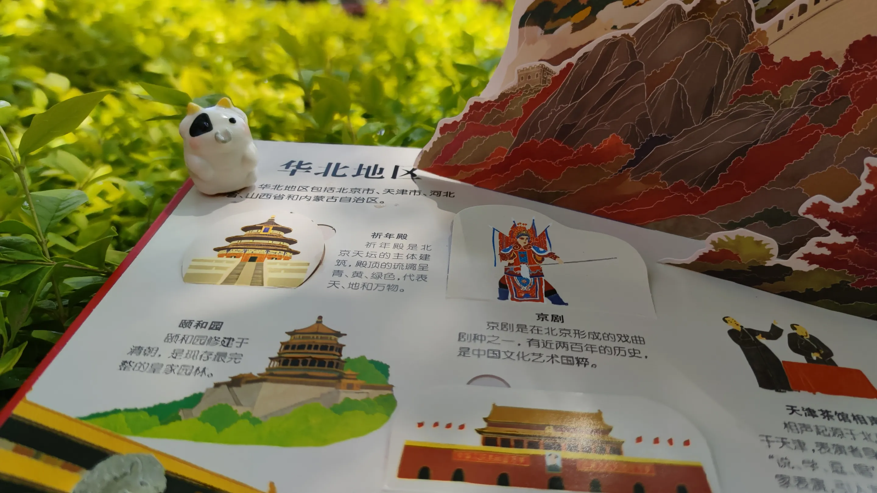 8岁的优优没怎么上过幼儿园，经常被我带着去旅游