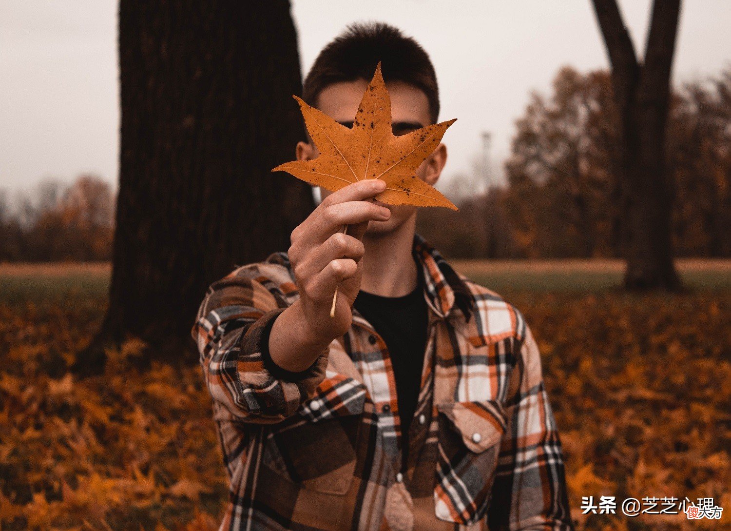 自尊心强的男女 男生自尊心强还是女生自尊心强