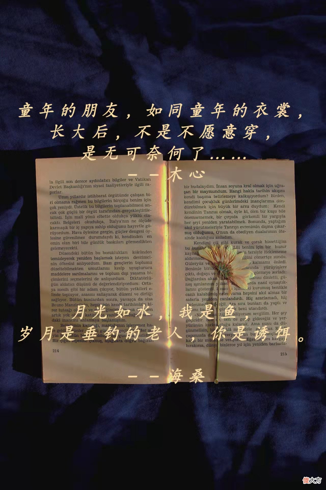 作家笔下的神仙比喻 作家笔下的神仙语段