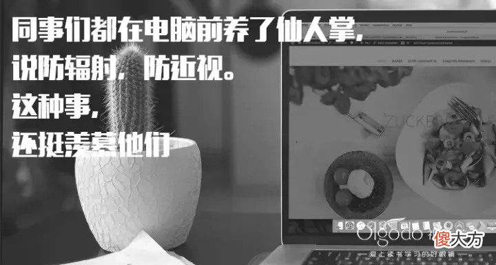 这家眼镜品牌的16组广告 眼镜 广告
