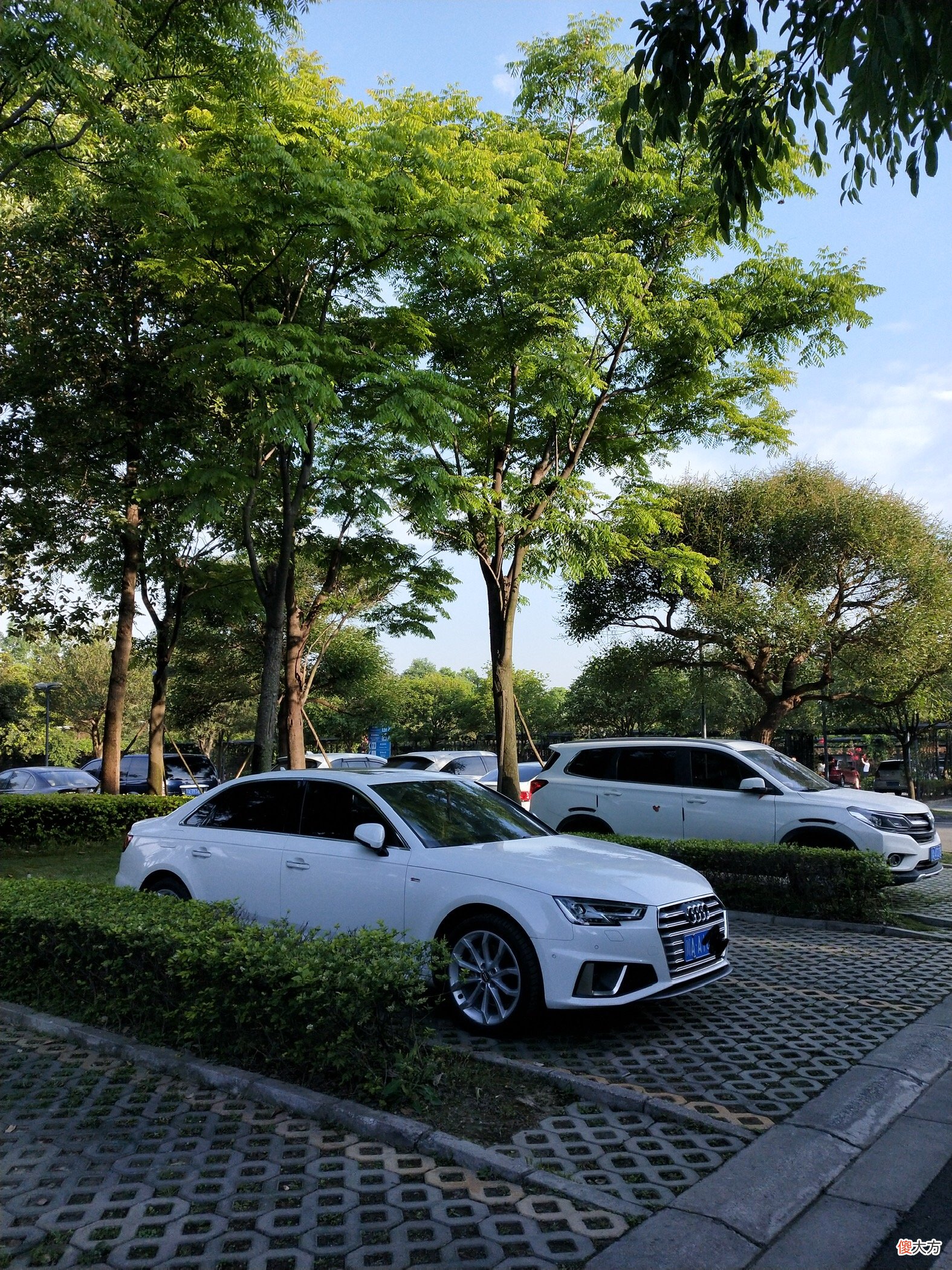 94年的我，在车友圈年龄中等，第一台车是奥迪a4l，19款40时尚，我挺满意的