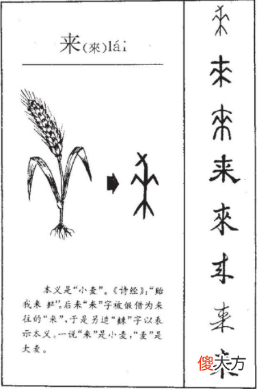 【历史故事】齐国为何叫“齐”?甲骨文揭开了一段被尘封3000年的历史