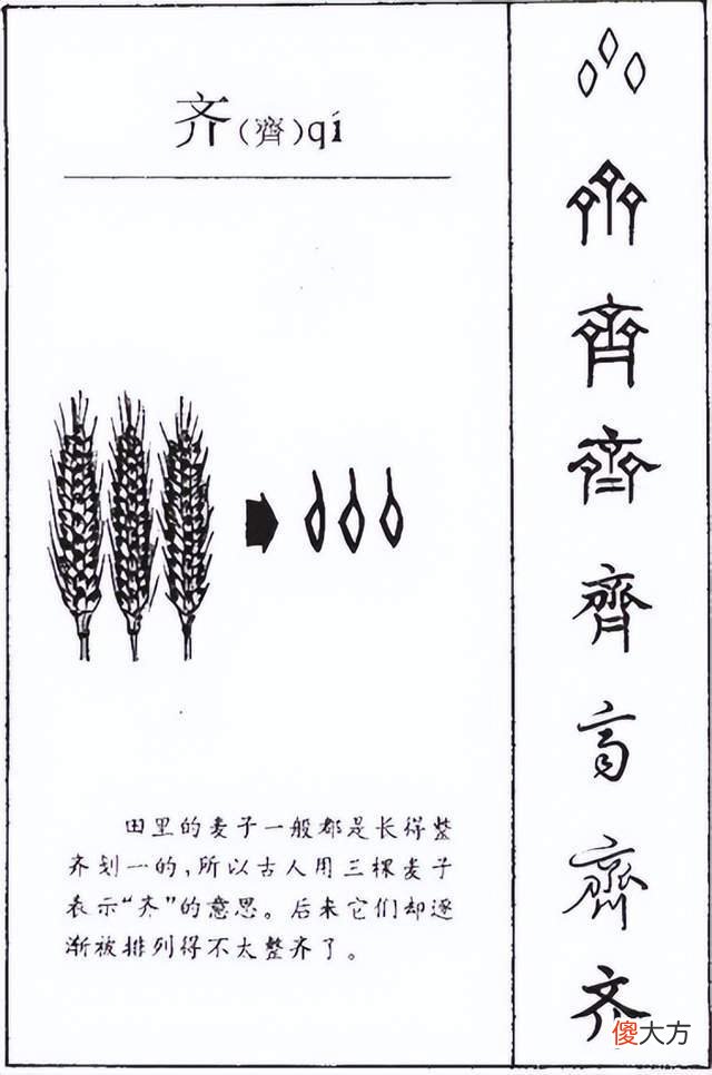 【历史故事】齐国为何叫“齐”?甲骨文揭开了一段被尘封3000年的历史