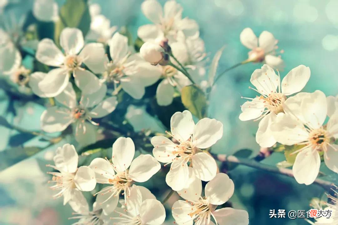 吃酵素有危害 经常吃酵素有什么危害