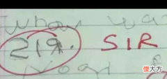 孩子总是写反字 小孩子总是写反字